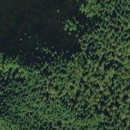 Satellite imagery of Dog Mountain, CA
