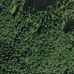 Satellite imagery of Tangled Summit, CA