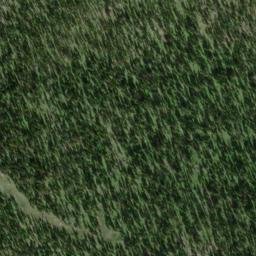 Satellite imagery of Mount Skelly, CA