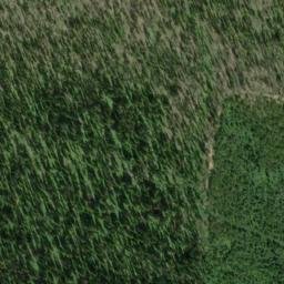 Satellite imagery of Mount Skelly, CA
