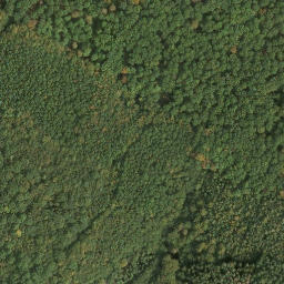 Satellite imagery of Riesenberg, DE