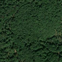 Satellite imagery of Salzleckereck, DE