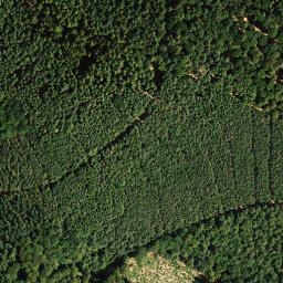 Satellite imagery of Dörrenberg, DE