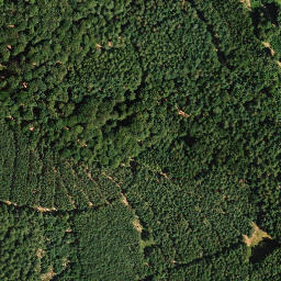 Satellite imagery of Dörrenberg, DE