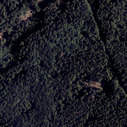 Satellite imagery of TP, CZ