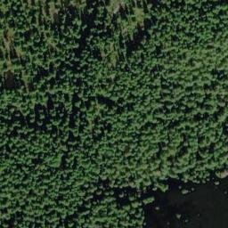 Satellite imagery of Tangled Summit, CA