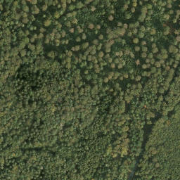 Satellite imagery of Riesenberg, DE