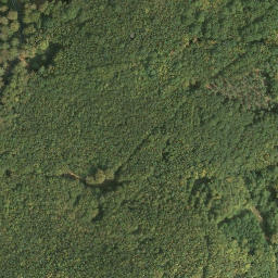 Satellite imagery of Riesenberg, DE