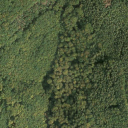Satellite imagery of Riesenberg, DE