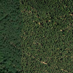 Satellite imagery of Hinterer Gleisberg, DE