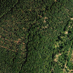 Satellite imagery of Schorlenberg, DE
