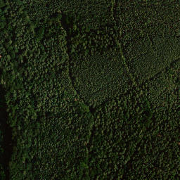 Satellite imagery of Wolfsberg, DE