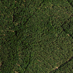 Satellite imagery of Wolfsberg, DE