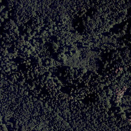 Satellite imagery of TP, CZ