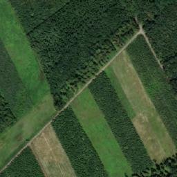Satellite imagery of (Horní Les) [Kojetín], CZ