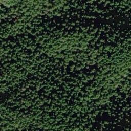 Satellite imagery of Tangled Summit, CA