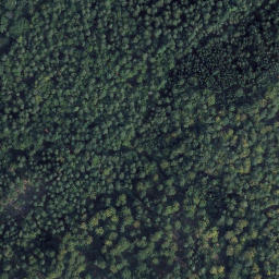 Satellite imagery of Störzenbühl, DE