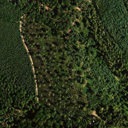 Satellite imagery of Schauerberg, DE