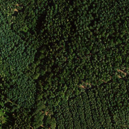 Satellite imagery of Schauerberg, DE