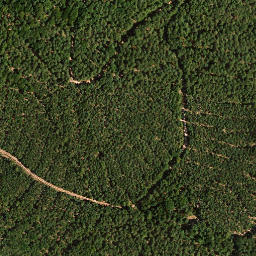 Satellite imagery of Wolfsberg, DE