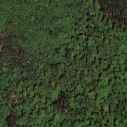 Satellite imagery of Hochfirst, DE