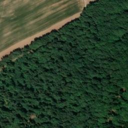 Satellite imagery of Haunberg, DE