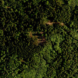 Satellite imagery of Oberer Eibenstein, DE