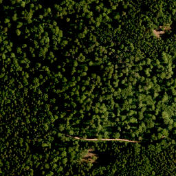 Satellite imagery of Oberer Eibenstein, DE