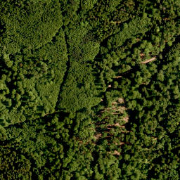 Satellite imagery of Oberer Eibenstein, DE