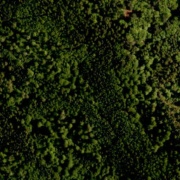 Satellite imagery of Schlossberg, DE