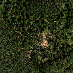 Satellite imagery of Kaisergarten, DE