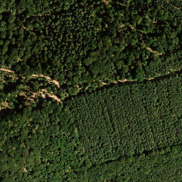 Satellite imagery of Kaisergarten, DE