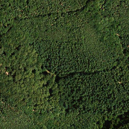 Satellite imagery of Schauerberg, DE