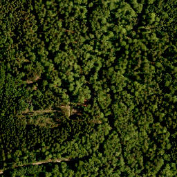 Satellite imagery of Oberer Eibenstein, DE