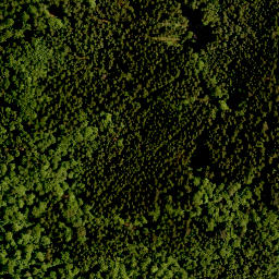 Satellite imagery of Schlossberg, DE