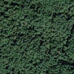 Satellite imagery of Lone Rock Point, CA