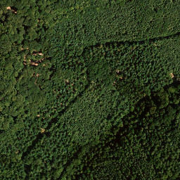 Satellite imagery of Kaisergarten, DE