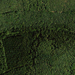Satellite imagery of Hohberg, DE