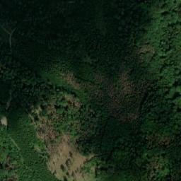 Satellite imagery of Pasník [Nelepeč-Žernůvka], CZ