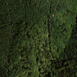 Satellite imagery of Hohberg, DE