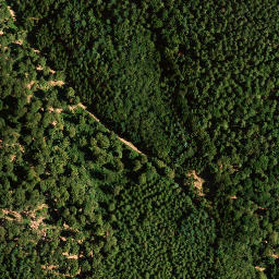 Satellite imagery of Hohberg, DE