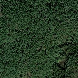 Satellite imagery of Büchlberg, DE