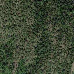 Satellite imagery of Mount Shields, CA