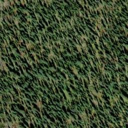 Satellite imagery of Mount Elise, CA