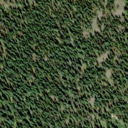 Satellite imagery of Mount Elise, CA
