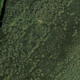 Satellite imagery of Speyerbrunner Eck, DE