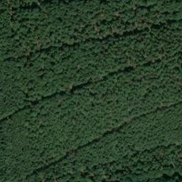 Satellite imagery of Möllberg, DE