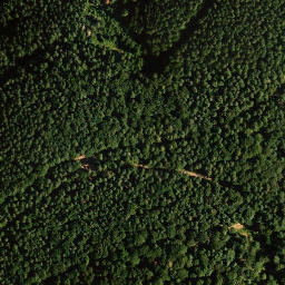 Satellite imagery of Hoher Kopf, DE