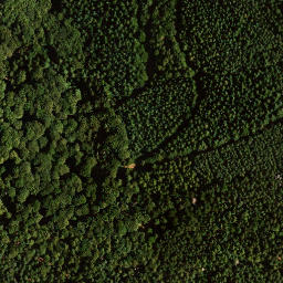 Satellite imagery of Platte, DE