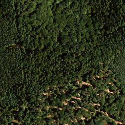 Satellite imagery of Platte, DE